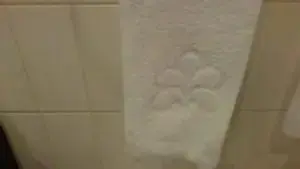 alt="オアシスタワーのロゴマーク入りタオル"