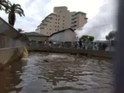 alt="鬼山地獄の土日限定の「ワニの餌付け」"
