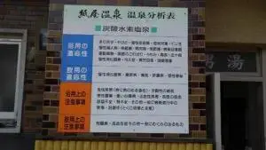 alt="紙屋温泉の分析表"
