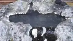 alt="鮎や鳥など天ケ瀬町に関するものが細やかに彫られている手湯"