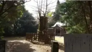 alt="大元神社の御神木"