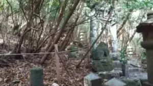 alt="有刺鉄線で囲まれた鳥居"