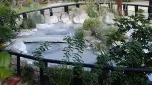 alt="垣根の間から見える鬼石坊主地獄"