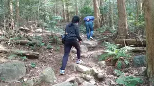 alt="険しい凸凹の坂道"