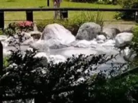 alt="カウンター席から見える坊主頭"