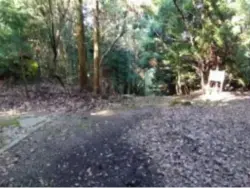 alt="階段と左の石畳"