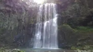 alt="テレビ番組「マツコの知らない世界」で紹介された桜滝"