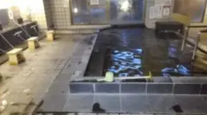 alt="綺麗で広い内湯"