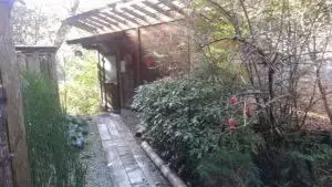 alt="裏庭の小道"