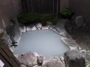 別府明礬温泉 御宿 ゑびす屋の家族風呂