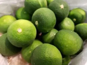 alt="小さいけれど存在感抜群な「すだち」"