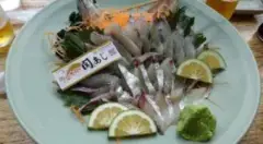 alt="関アジの姿造り"