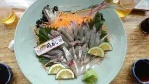 alt="関アジの刺身"