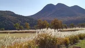 alt="タデ原湿原の秋のススキ”