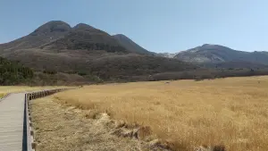 alt="タデ原湿原の木の遊歩道”