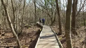 alt="タデ原湿原の森を歩く”