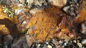 alt="タデ原湿原の湧き水”