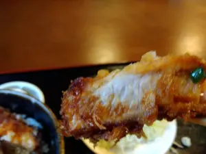 alt="超柔らかい李音の醤油カツ丼”