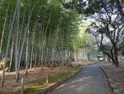 alt=”広大な別府公園”