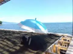 alt="別府海浜砂湯から別府湾を望む"