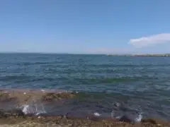 alt="別府海浜砂湯から別府湾を望む"
