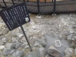 alt="たまごむし場"