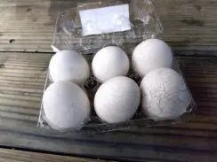 alt="泥が付着して割れた卵"