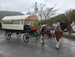 alt="可能なら右前方がねらい目”