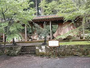 alt="幹回り9m樹齢600年の切り株"