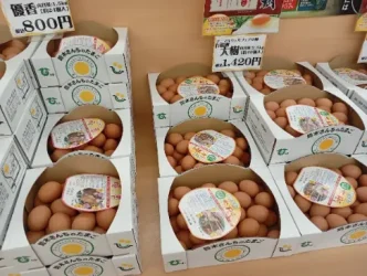 すずらん食品館の産み立て卵